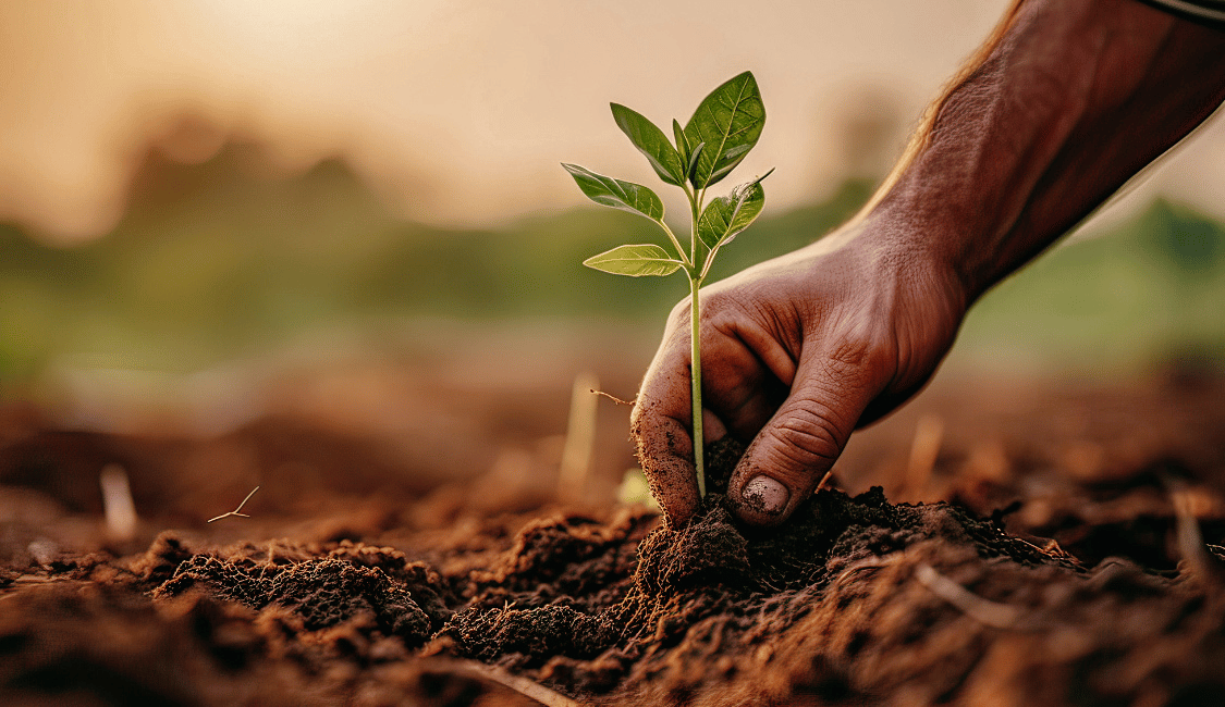grow with less motivation