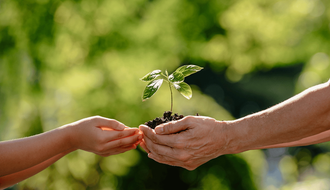 slow living motivation lebensgestaltung