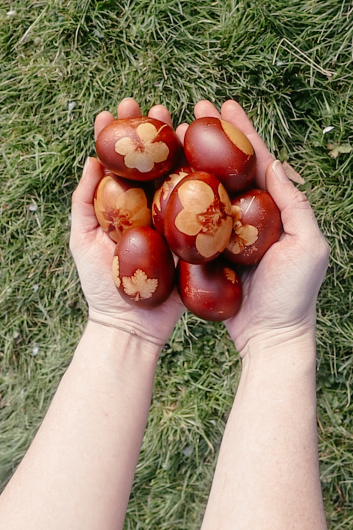 growwithless_ostereier_natürlich_färben